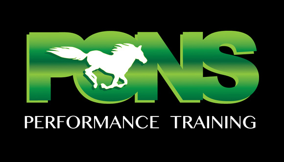 Pons logo