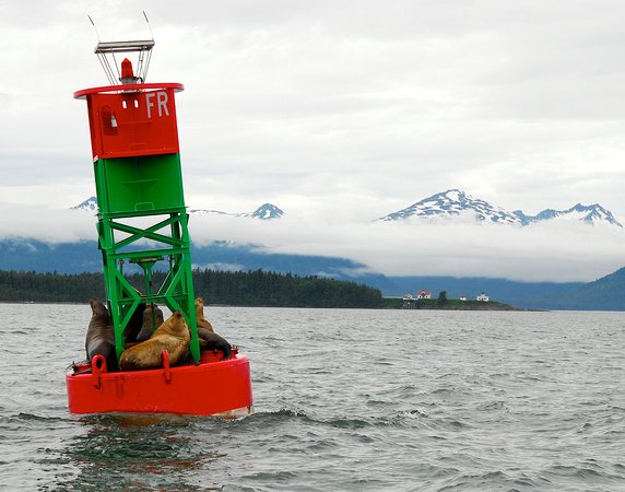 Alaska Buoy